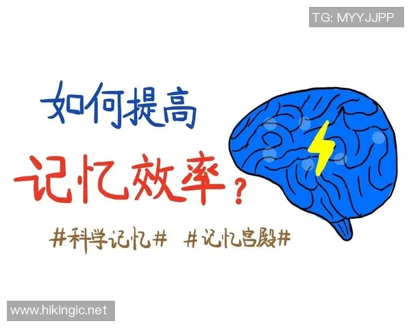 高强度有氧运动如何有效提升大脑认知功能与记忆力的研究探讨
